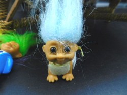 TROLL LOT 2022 G